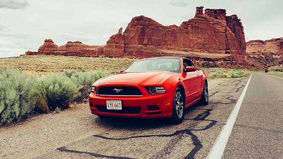 Mustang Shelby